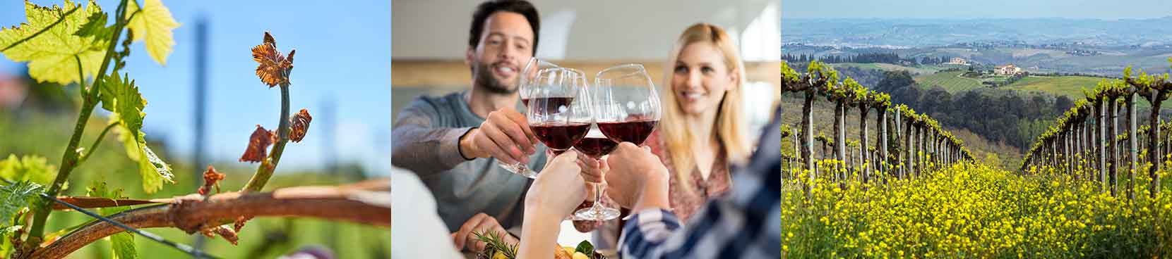 Weinmarkt Kirchhellen - über 400 Weine - persönliche & kompetente Beratung